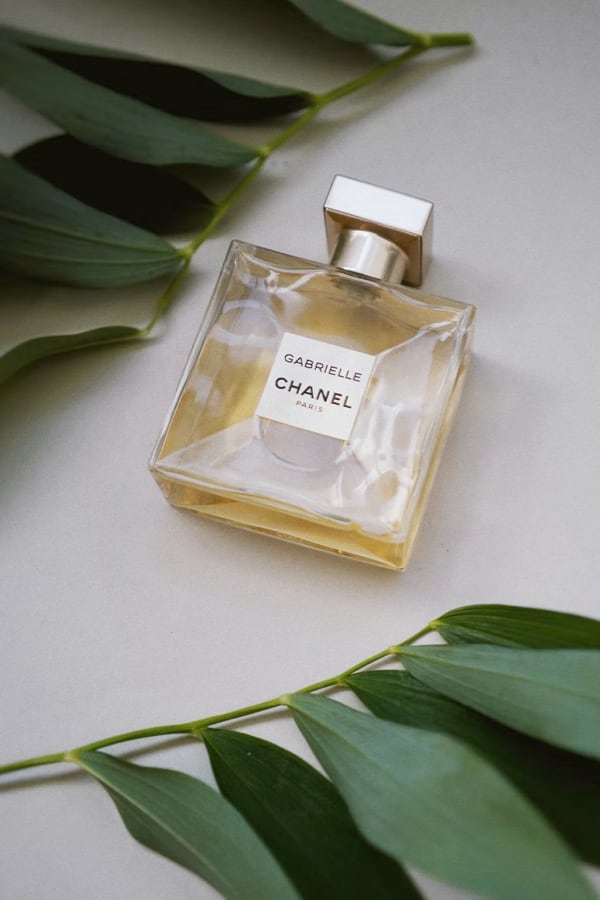 the parfum image